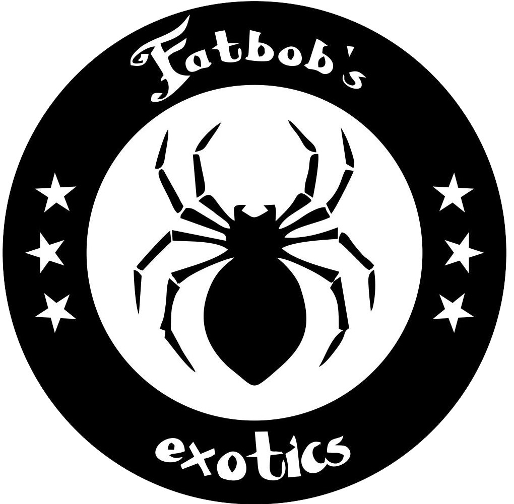 fatbobsexotics.com